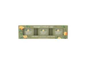 Yankee Candle Sada votivních svíček ve skle Sage & Citrus 3 x 37 g